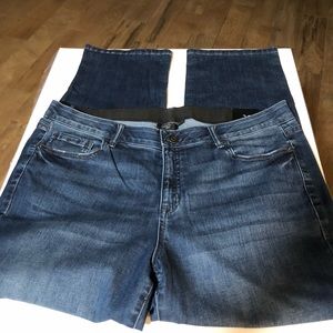 New Venezia (Lane Bryant) Straight Jeans